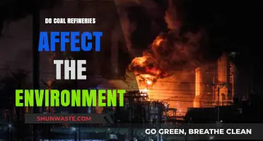Coal Refineries' Environmental Impact: Pollution, Climate Change, and Ecosystem Destruction