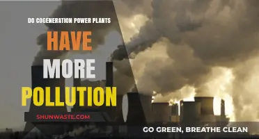 Cogeneration Power Plants: More Efficient, Less Polluting?