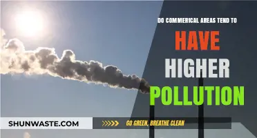 Urban Pollution: Commercial Areas and Their Impact