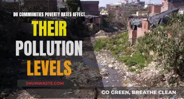 Poverty and Pollution: Communities' Toxic Relationship