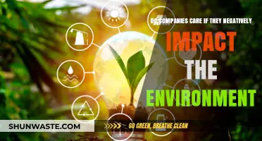 Corporate Environmental Responsibility: Do Companies Prioritize Profit Over Planet?