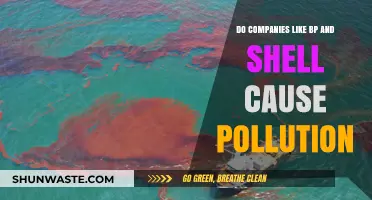 BP and Shell: Environmental Impact and Pollution Concerns