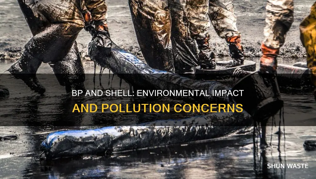 do companies like bp and shell cause pollution