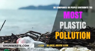 Who is to Blame for Plastic Pollution?