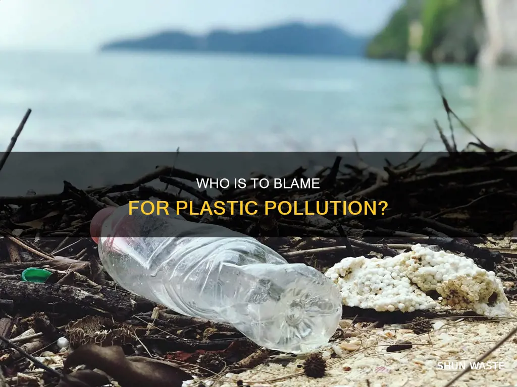 do companies or people contribute the most plastic pollution