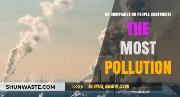 Who Pollutes More: Companies or Individuals?