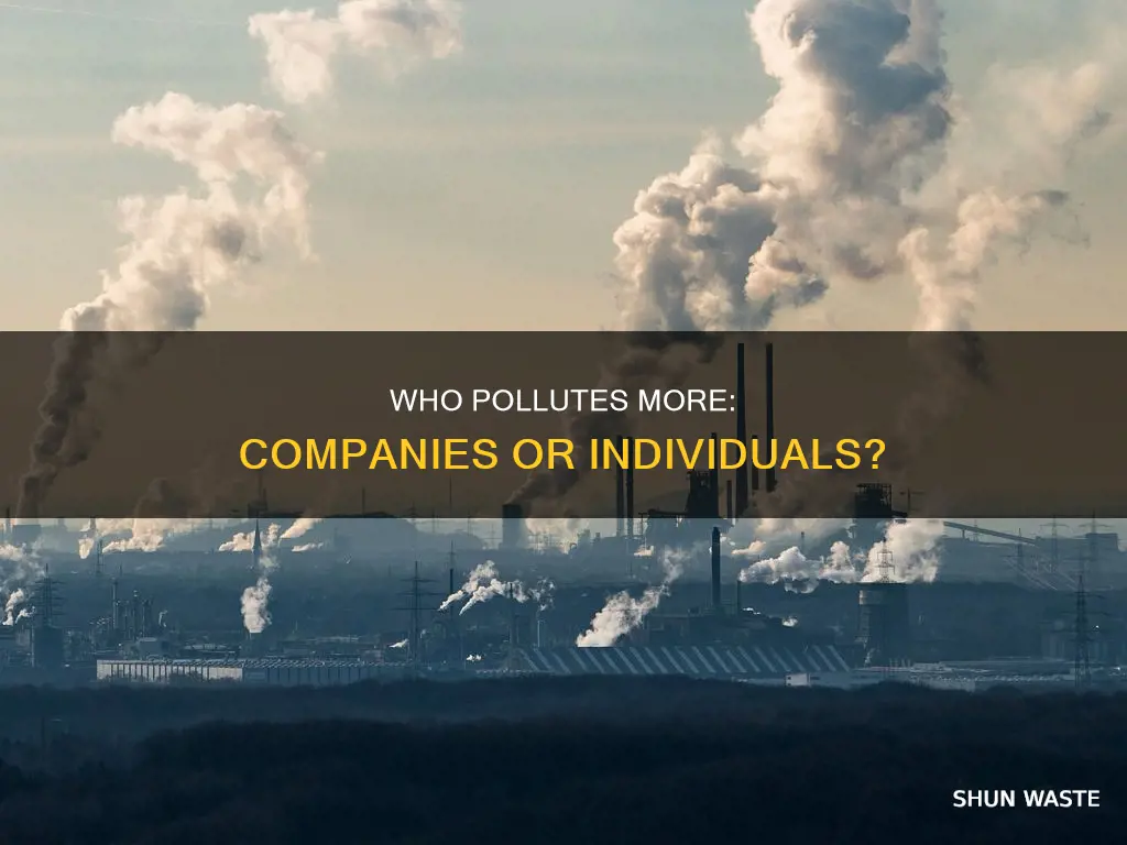 do companies or people contribute the most pollution