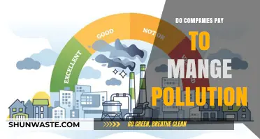 Pollution Management: Who Pays for Corporate Emissions?