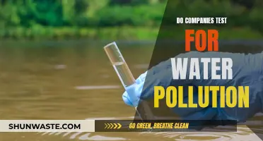 Unveiling Corporate Responsibility: Do Companies Test for Water Pollution?