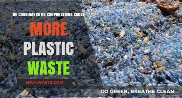 Who's to Blame for Plastic Waste: Consumers or Corporations?