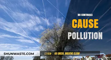 Cloud Trails: Unveiling the Environmental Impact of Contrails