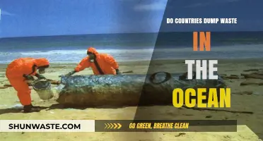 Ocean Waste Dumping: A Global Crisis and Environmental Threat
