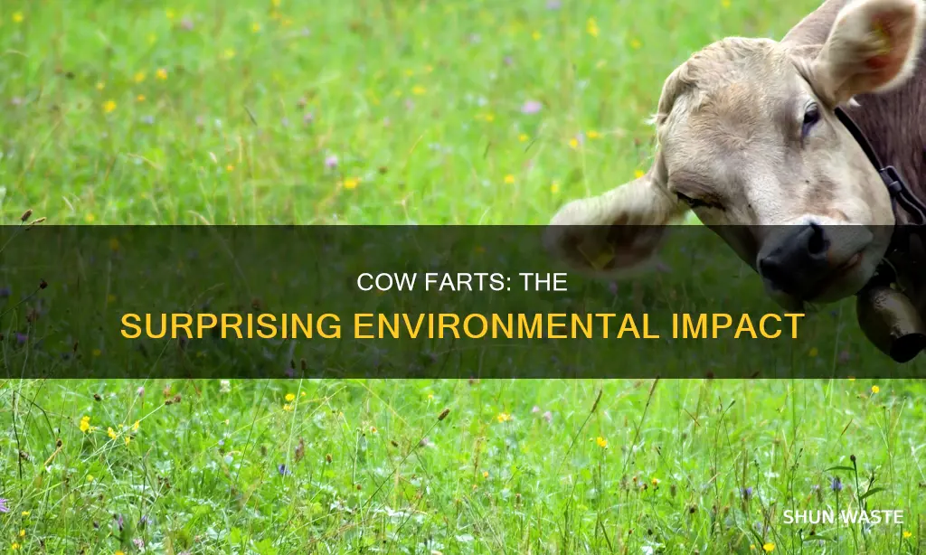 do cow farts cause pollution