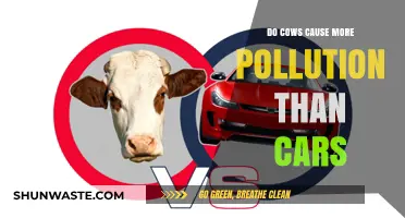 Cows vs. Cars: Unveiling the Green Truth