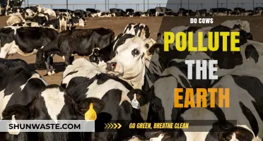Cows and Climate Change: How Concerned Should We Be?