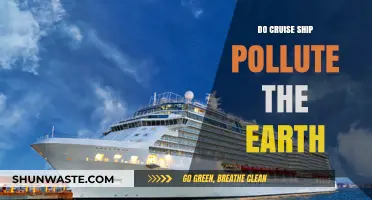 Cruise Ships: Polluting the Oceans and Earth?