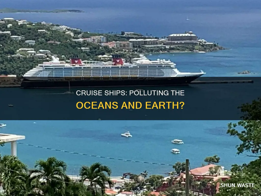 do cruise ship pollute the earth