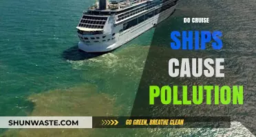 Cruise Ships: Environmental Impact and the Need for Sustainable Solutions