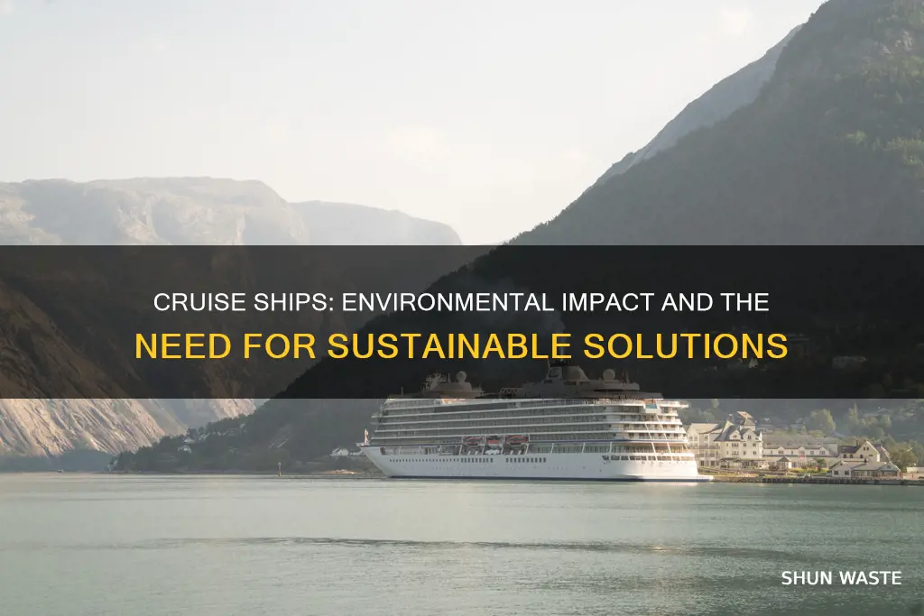 do cruise ships cause pollution