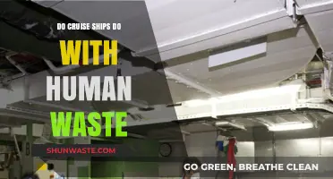How Cruise Ships Manage and Dispose of Human Waste