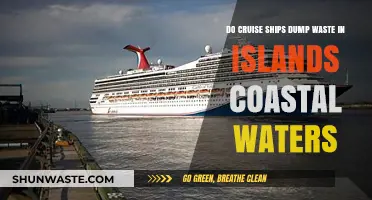 Cruise Ships and Coastal Waters: Uncovering Waste Dumping Practices