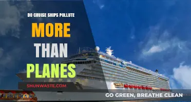 Cruise Ships vs Planes: Who's the Bigger Polluter?