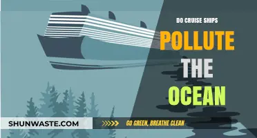 Cruise Ships: Ocean Polluters or Sustainable Voyagers?