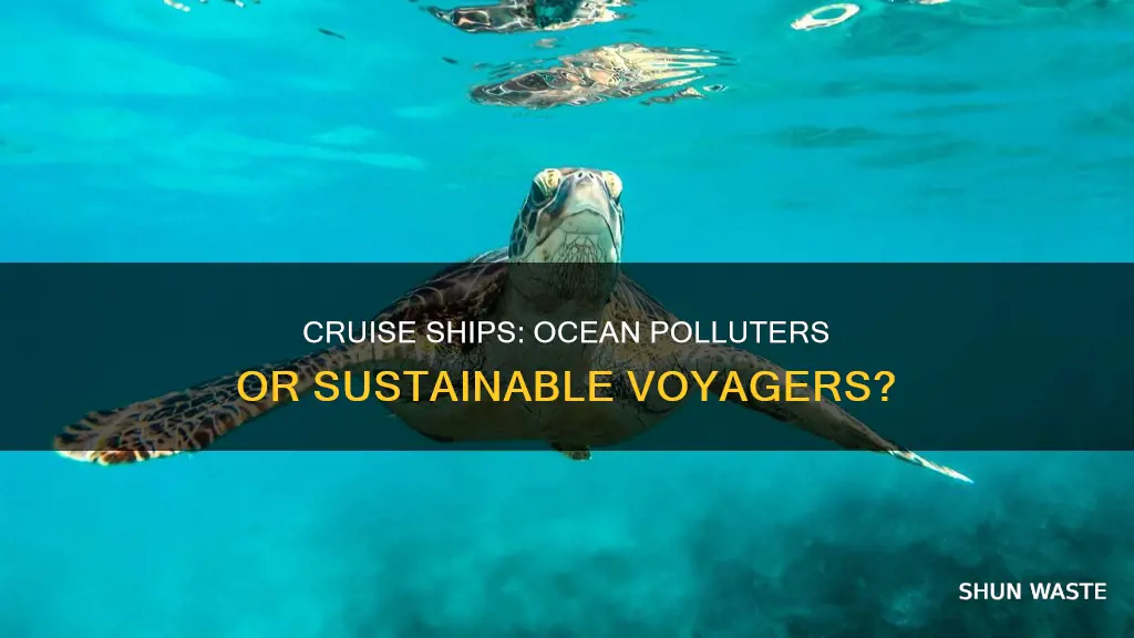 do cruise ships pollute the ocean