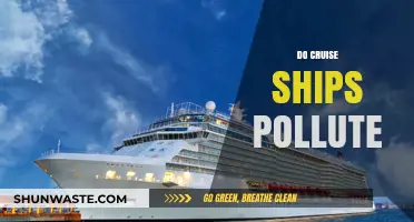 Cruise Ships: Polluting Our Oceans?