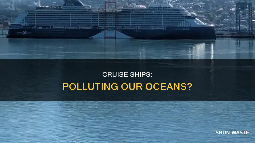 do cruise ships pollute