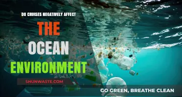 Cruises and the Ocean: Uncovering Their Environmental Impact and Consequences