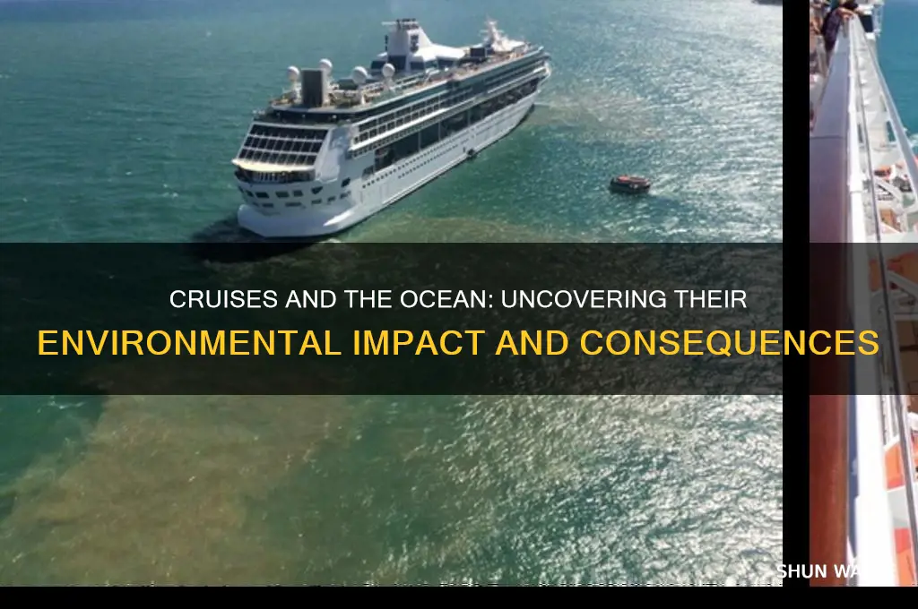 do cruises negatively affect the ocean environment