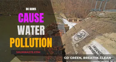 Dams and Water Pollution: A Complex Relationship