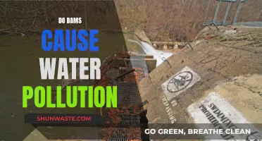 Dams and Water Pollution: A Complex Relationship