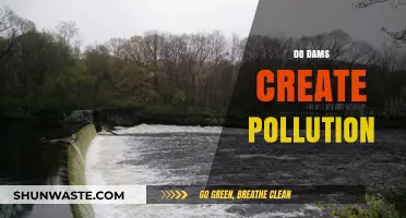 Dams and Pollution: The Unseen Impact