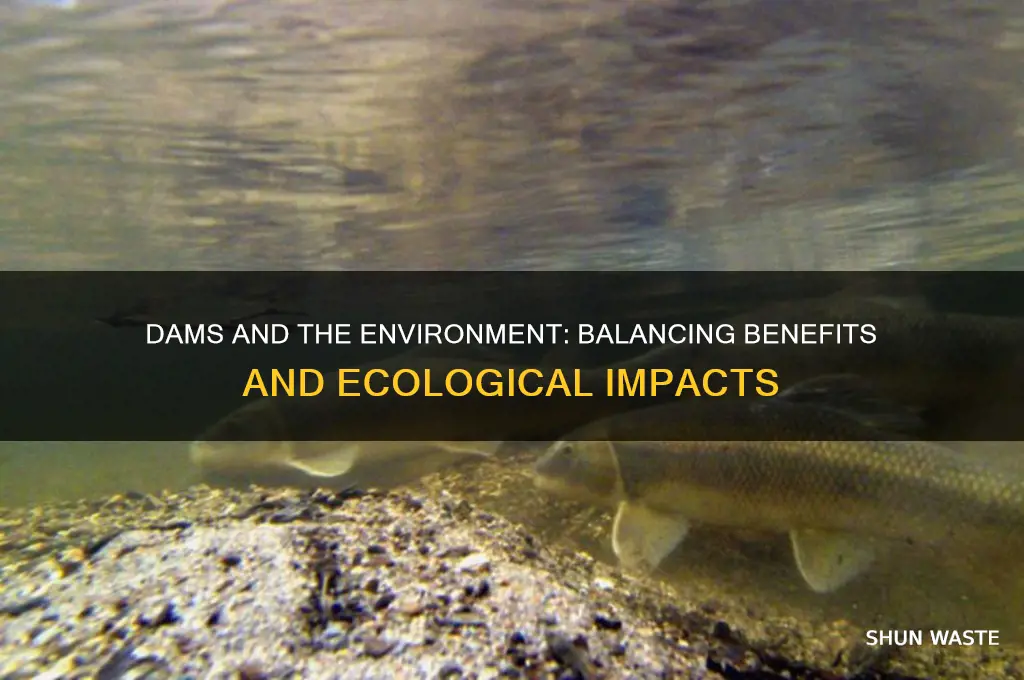 do dams help the environment