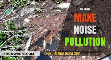 Dams and Noise Pollution: A Quiet Problem?