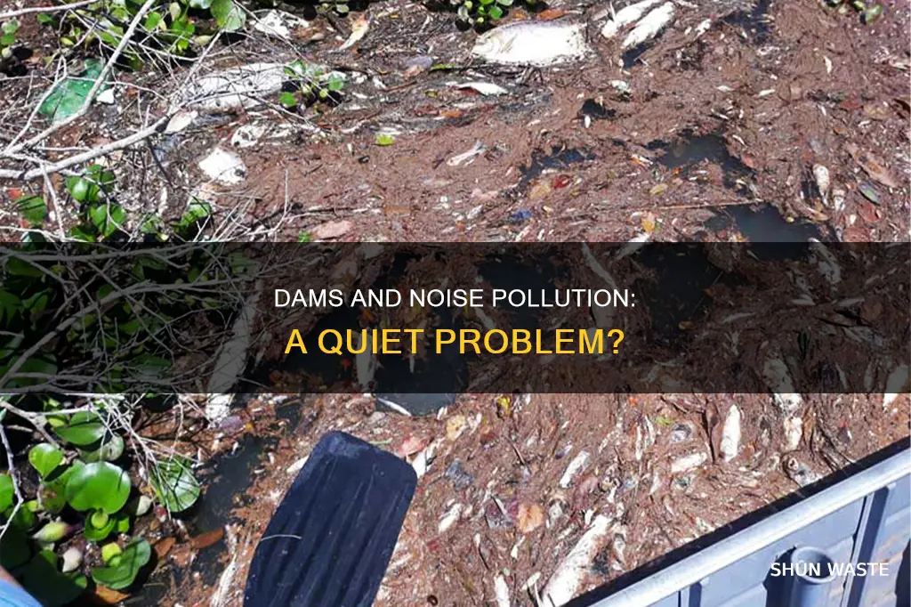 do dams make noise pollution