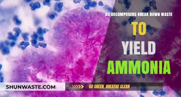 How Decomposers Transform Waste into Ammonia: A Breakdown Process