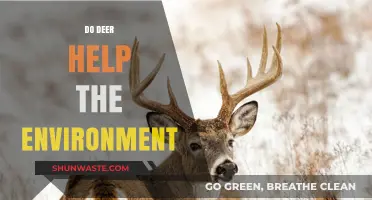 Deer's Ecological Impact: Unveiling Their Role in Environmental Balance