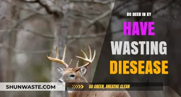 Kentucky Deer: Understanding the Threat of Chronic Wasting Disease
