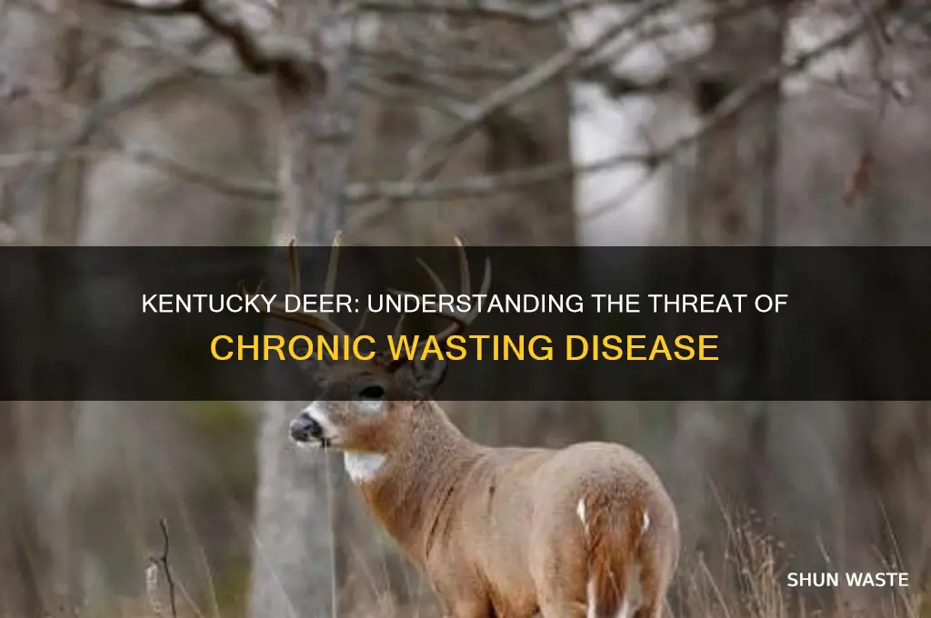 do deer in ky have wasting diesease