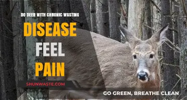 Chronic Wasting Disease in Deer: Understanding Pain and Suffering