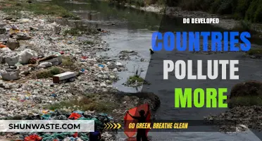 Developed Nations: Polluters or Saviors?