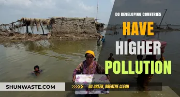 Developing Countries: Pollution's Unfair Impact