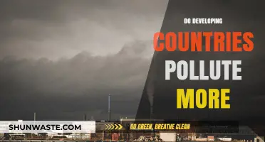 Developing Countries: Polluters or Victims?