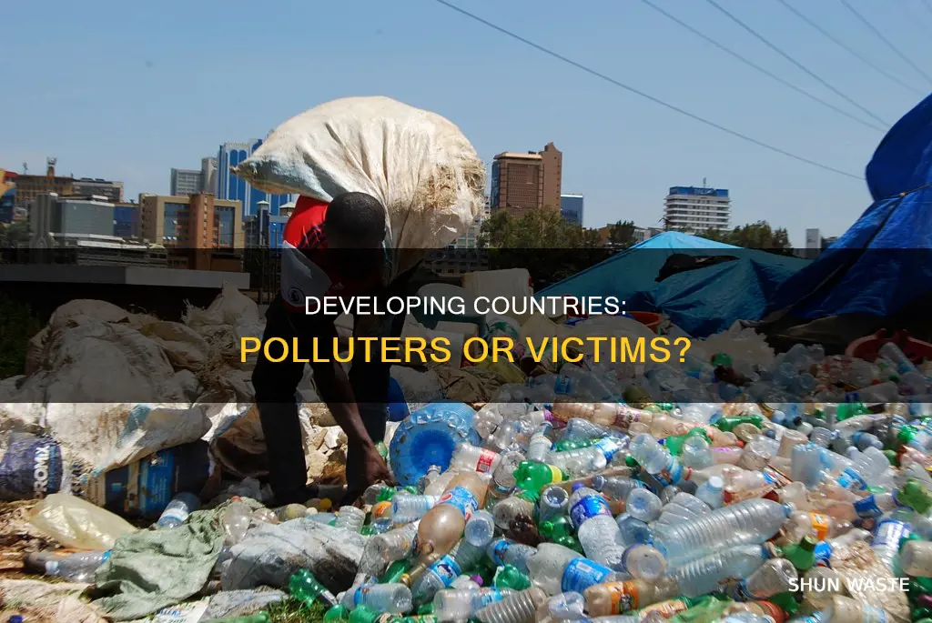 do developing countries pollute more