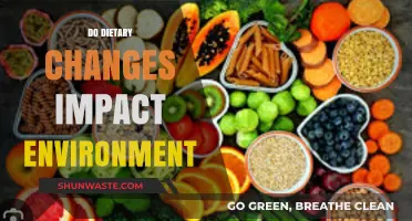 Dietary Choices and Their Environmental Impact: A Sustainable Food Journey