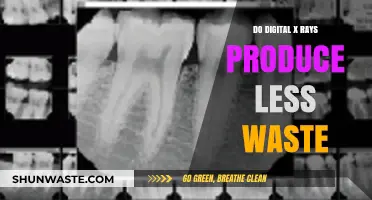 Digital X-Rays: Reducing Waste in Medical Imaging Practices