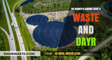 Exploring Disney Cabins: Waste Management and Daily Refresh Amenities
